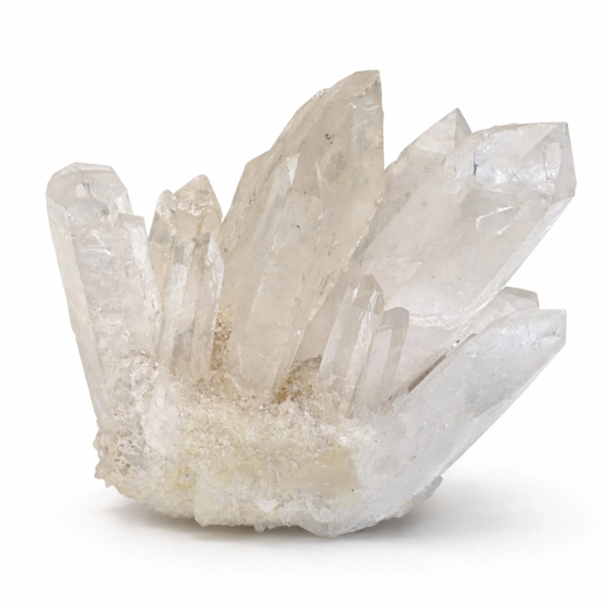 Product image 100
