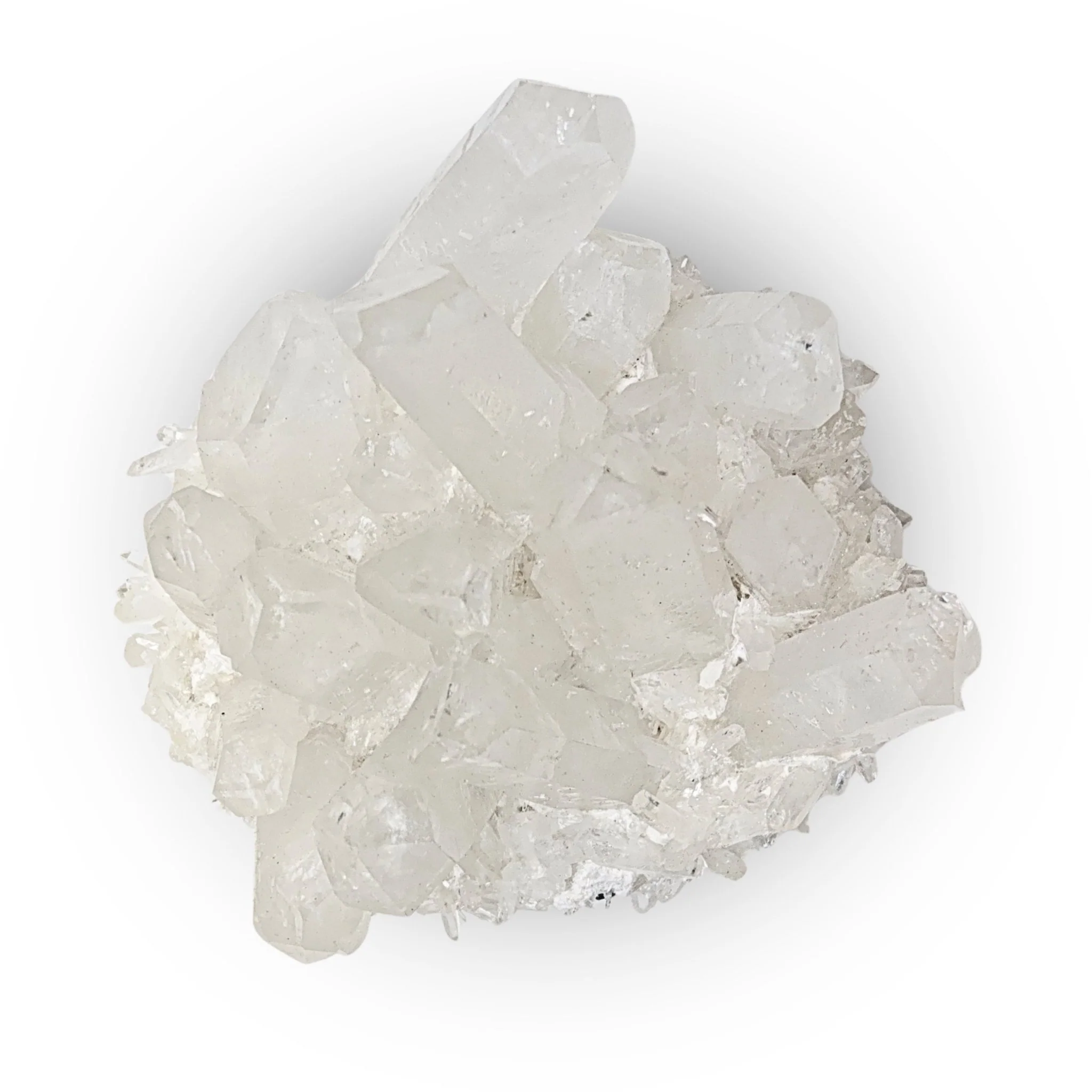 Product image 147
