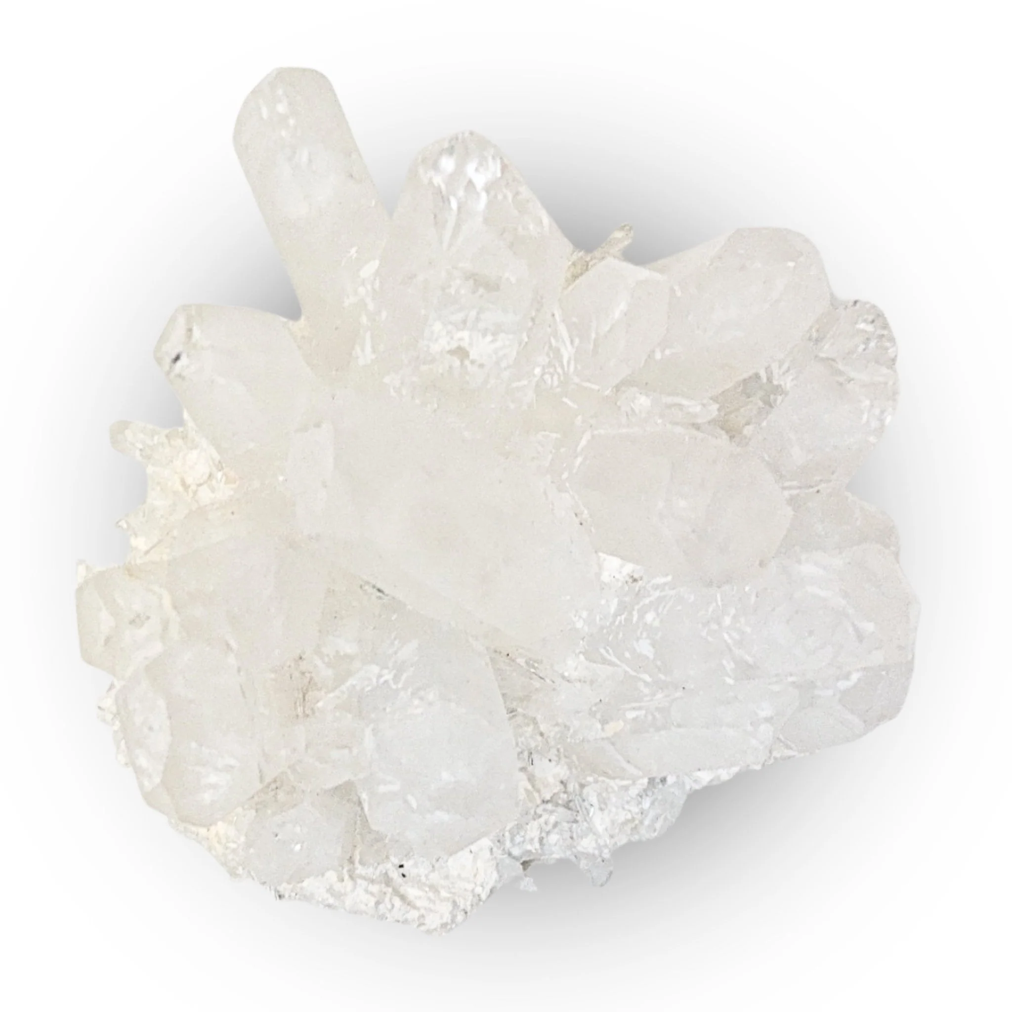 Product image 151