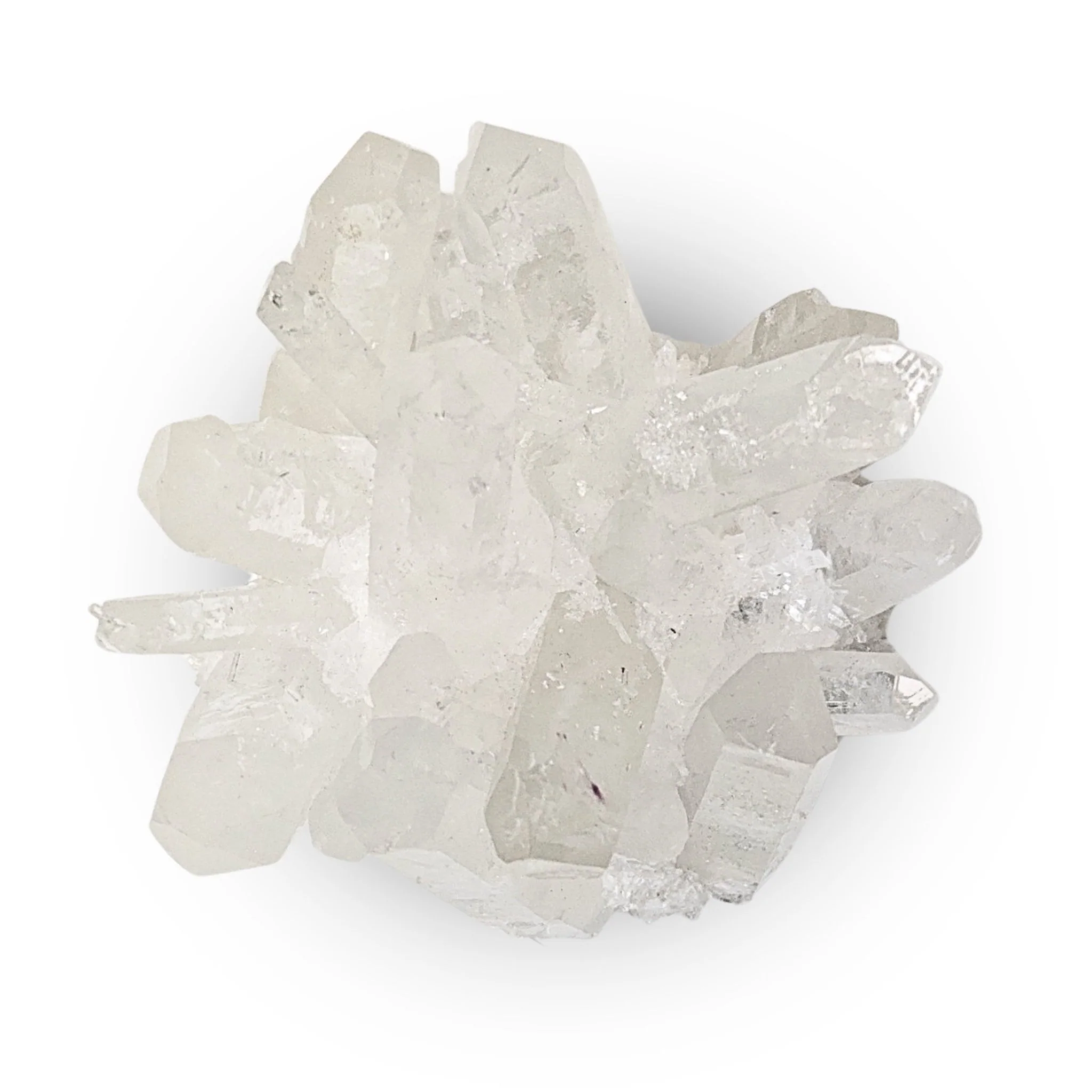 Product image 169