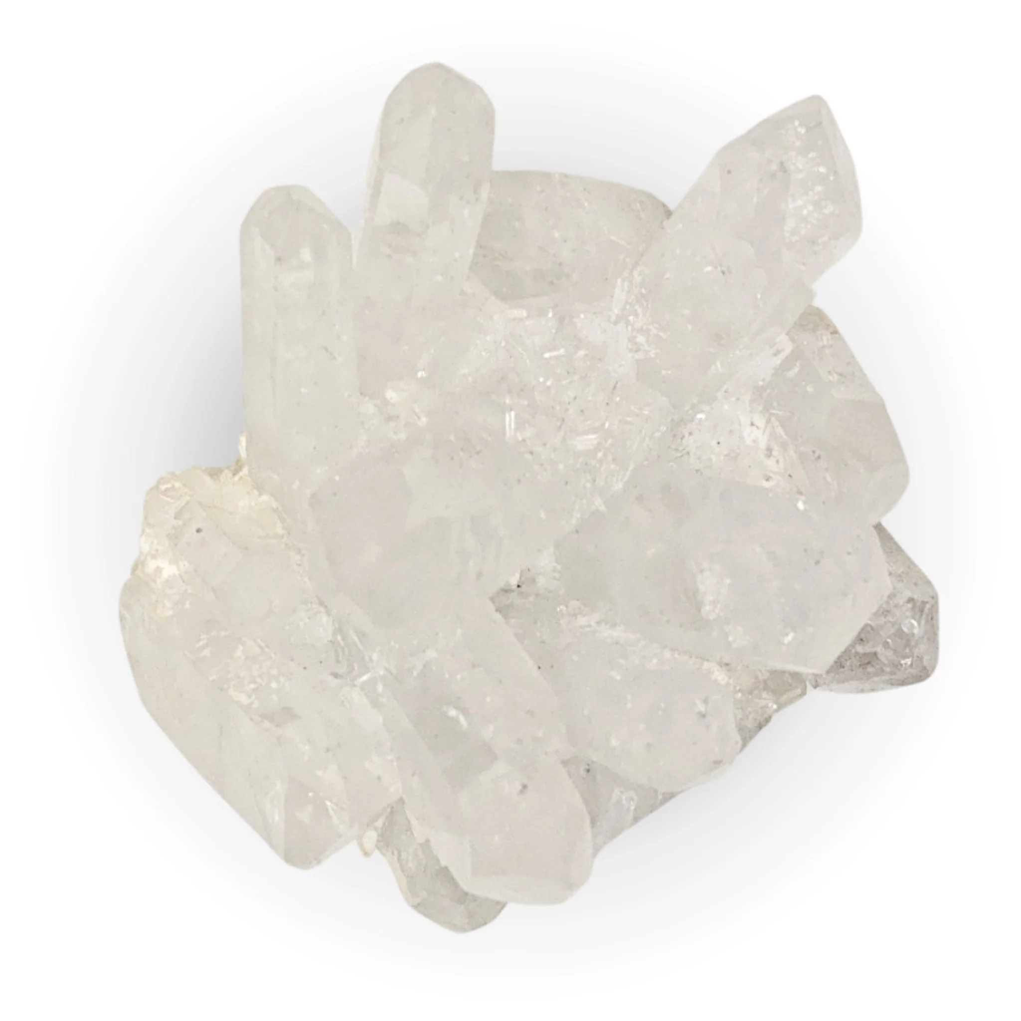 Product image 65
