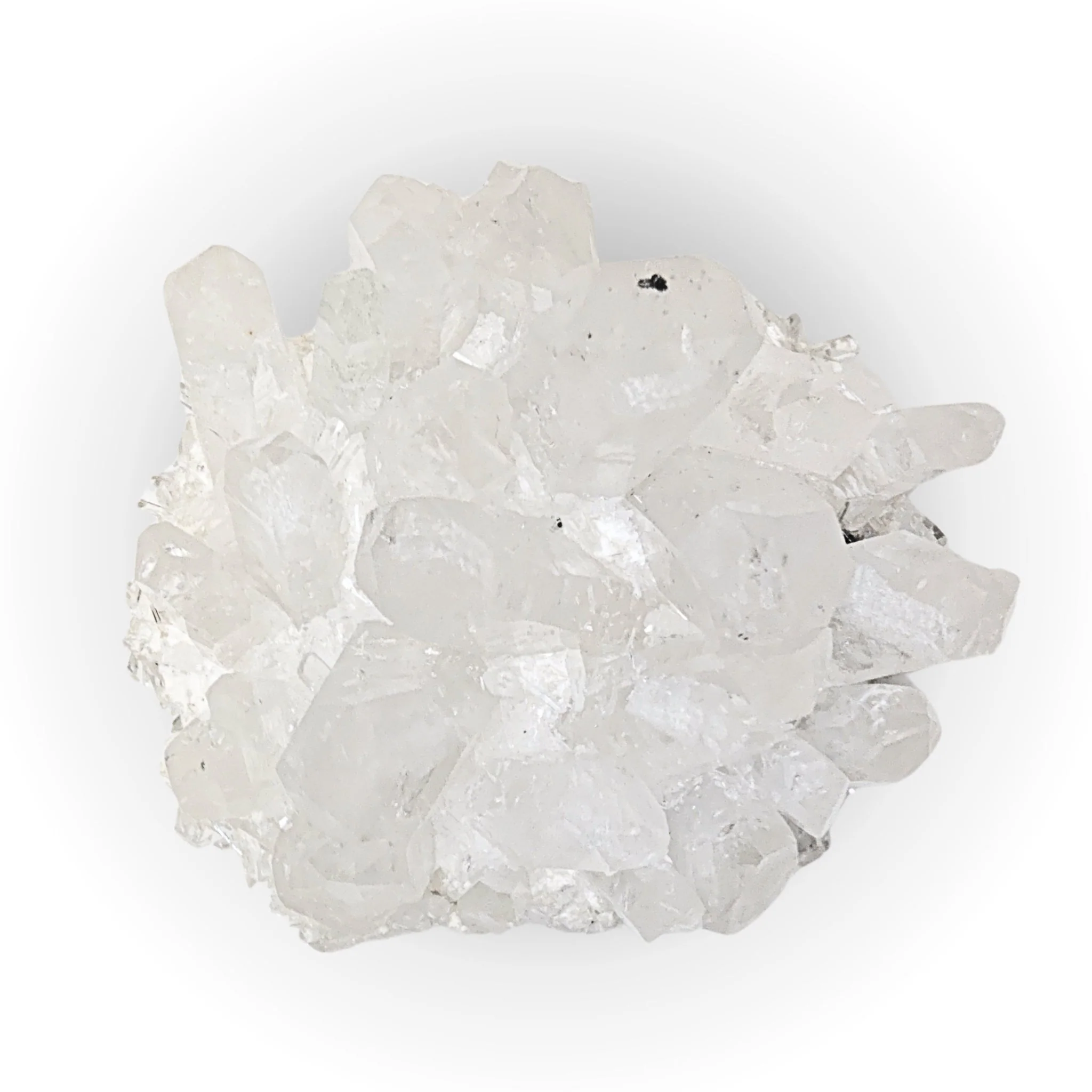 Product image 81